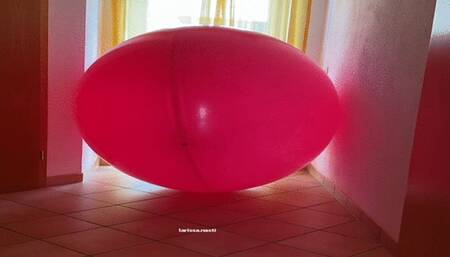 huge pink balloon fun