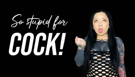 Aromatic Faggot Porn Junkie