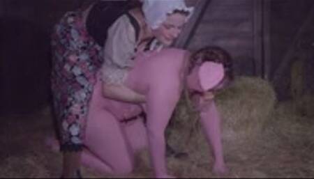 fight with piggy - wmv 1080p