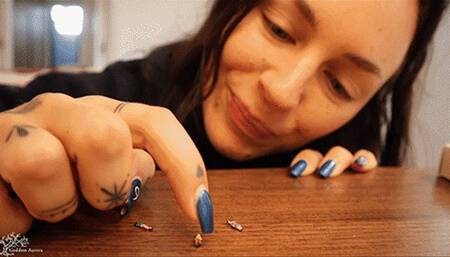 Tiny Thieves De-Shrunk and Swallowed Whole