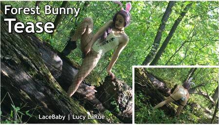 Forest Bunny Tease