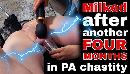 Milked After Another 4 Months in PA Chastity Ruined Orgasm With Fucking Machine