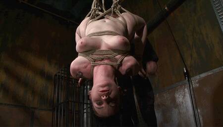 Sybil Explores Extreme Bondage, 3