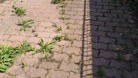 2ND EXCAPE I'm running away from danger on my white espadrillas and I lose a shoe, I start hopping barefoot on one foot on the asphalt!