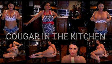 Cougar in the Kitchen