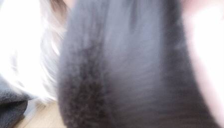 C4SAnimay23 Sexy Panda with huge tits snarling at you - Closeups