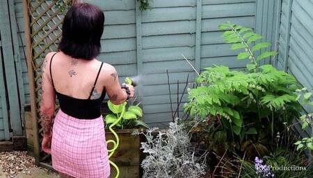 Dreamland Domination (HD 720p)