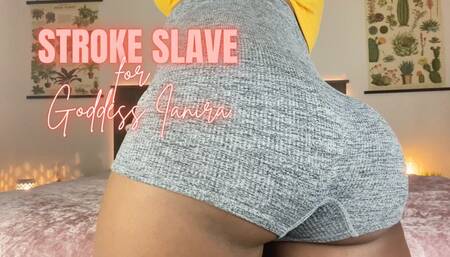 Stroke Slave for Goddess Ianira