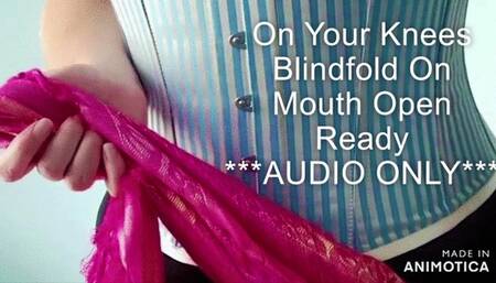 On Your Knees, Blindfold On, Mouth Open, Ready