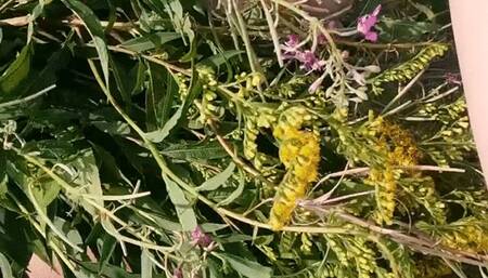 Walking naked in a field of flowers