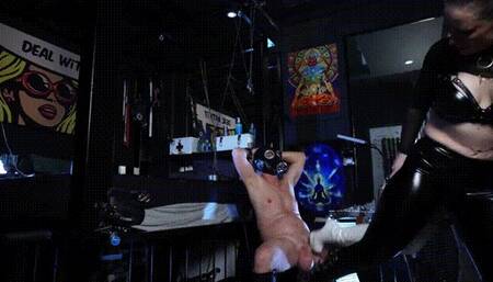 Big testicles with ballbusting