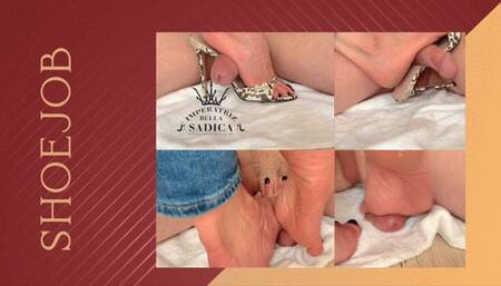 Shoejob, Mules, humiliating on the floor