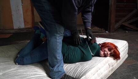 3031 Amber in Ziptied in the Attic