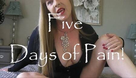 5 DAYS OF PAIN mov