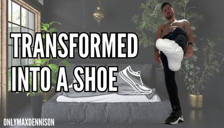 transformed into gay guys shoe