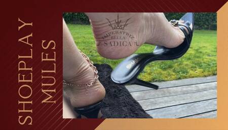 Only My sexy feet and My shoeplay