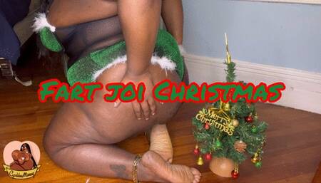 FARTING ON THE LITTLE CHRISTMAS TREE