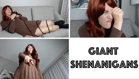 Giant Shenanigans (WMV)