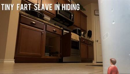 Tiny Hiding from Gassy Ebony Giantess