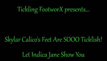 Skylar Calico's Feet are SOOOO Ticklish