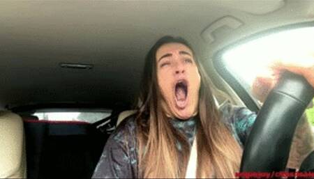 Asleep behind wheel wmv