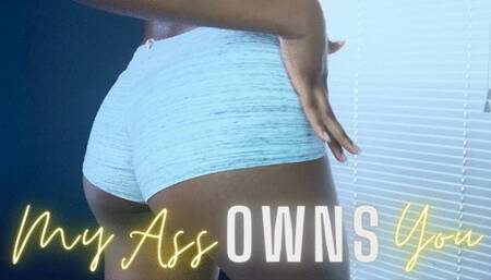 My Ass OWNS You