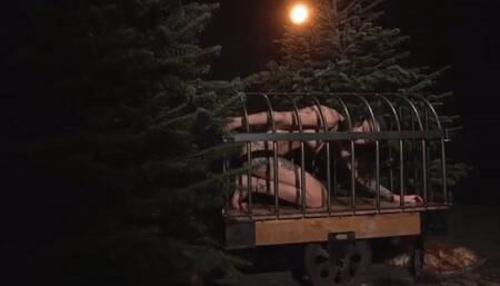 Skinny girl want to get out of the cage - wmv 1080p