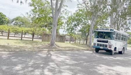 Katherine pedal pumping and driving the FFP Bus on Sexy blue sandals