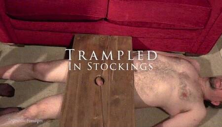 Trampled In Stockings (wmv)