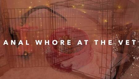 Anal Whore at The Vet with Lexi Grey and Freshie Juice