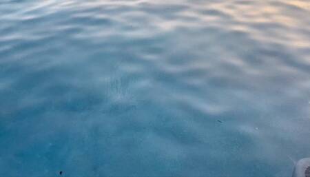 Pleasure Diving HD edit