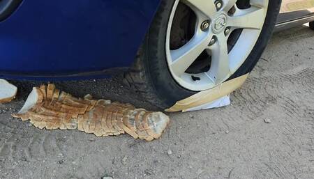 Pedal Pump Diploma & Bread Crush Mazda