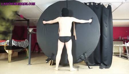 HIS FIRS WHIP- 1080 FULL HD