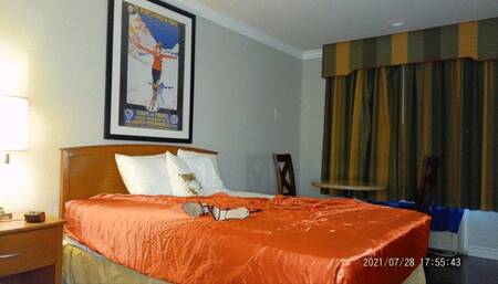 Slave Training: Week 1