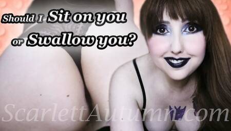 Should I sit on you or eat you? - MP4 HD 1080p