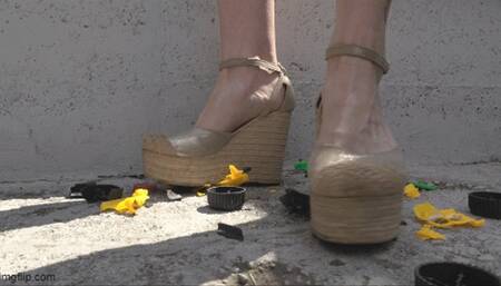 I found it by accident and destroyed it on purpose