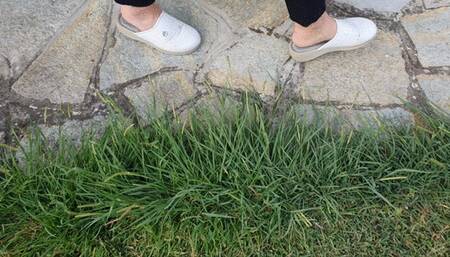 4TH LOST SHOE: I wear my white garden slippers in wilderness and I lose a shoe climbing a wall!