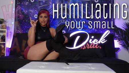 Humiliating Your Small Dick