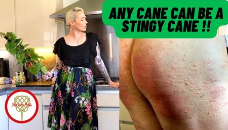 Any Cane Can Be A Stingy Cane (1080 HD)