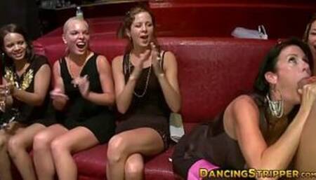 Glamorous babes dicksucking at wild stripper party
