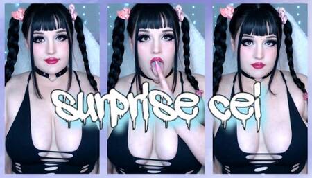 surprise cei