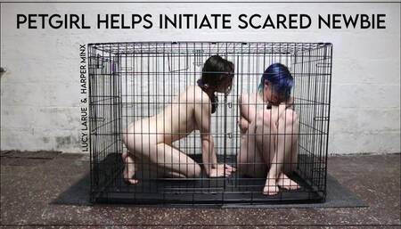 PetGirl Helps Initiate Scared Newbie