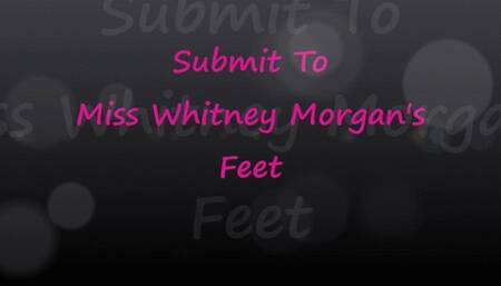 Submit To Miss Whitney Morgan's Feet - mp4