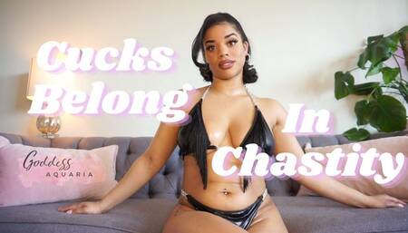 Cucks Belong In Chastity