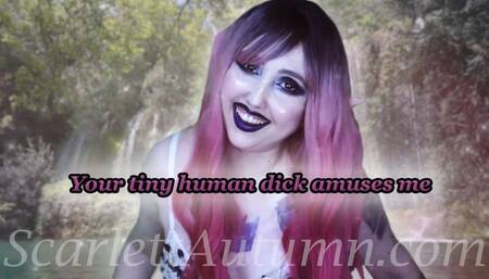 Your small dick amuses the Fairy Queen - WMV SD 480p