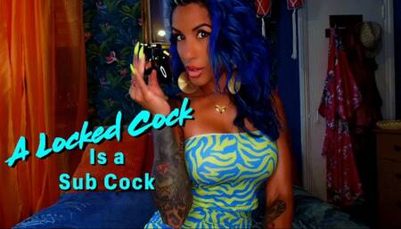 A Caged Cock is a Submissive Cock