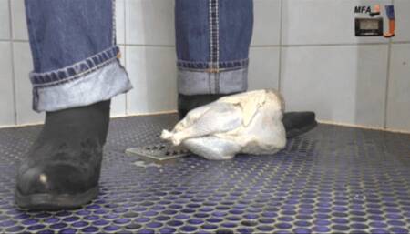 Raw Chicken under my Sendras