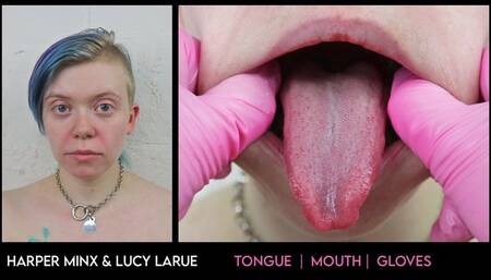 Gloved Mouth Inspection Closeup