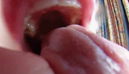 Flori's exotic Dessert 4K VR360