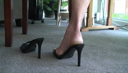 Pink Fox, the other calf